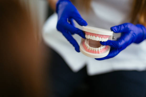 Reliable Lebanon, NH  Holistic Dental Services Solutions